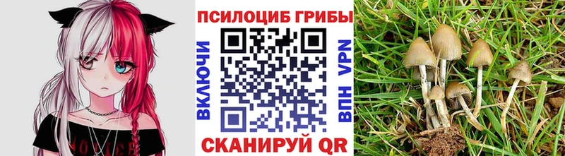 Псилоцибиновые грибы MAGIC MUSHROOMS  OMG ссылки  Старый Крым 